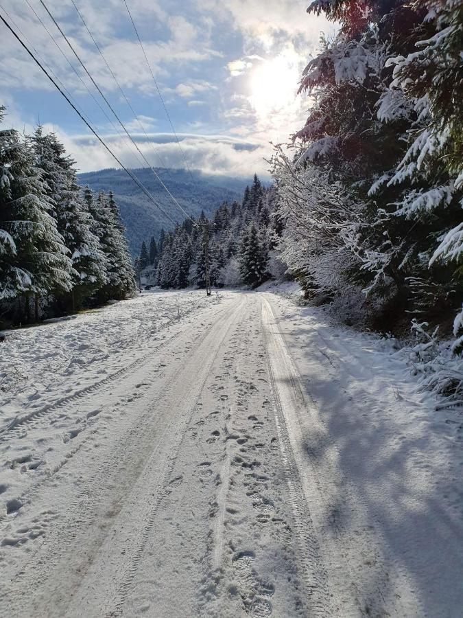 Csillag Kulcsoshaz Villa Gheorgheni  Luaran gambar