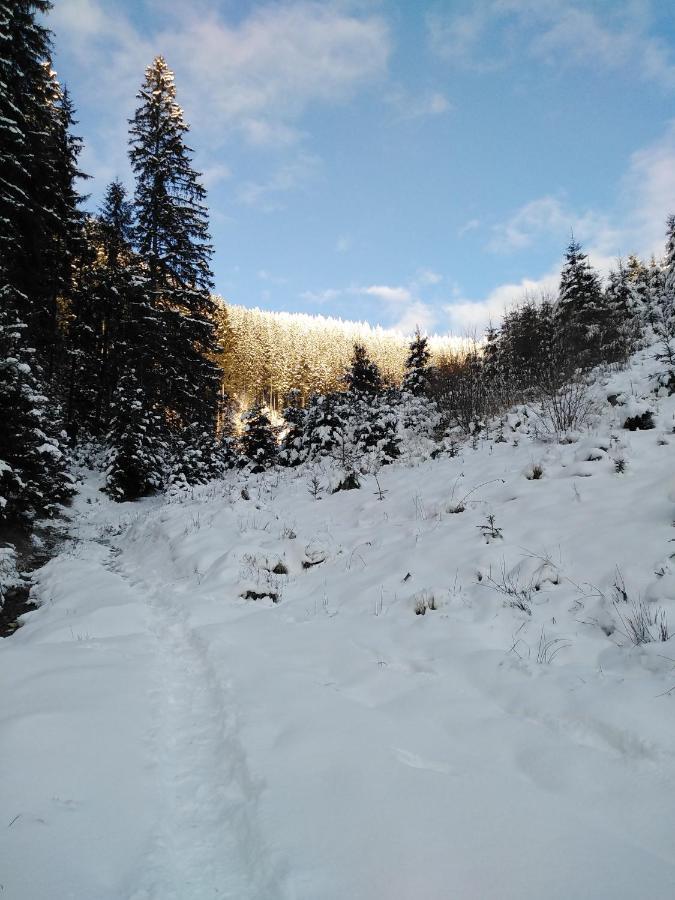Csillag Kulcsoshaz Villa Gheorgheni  Luaran gambar
