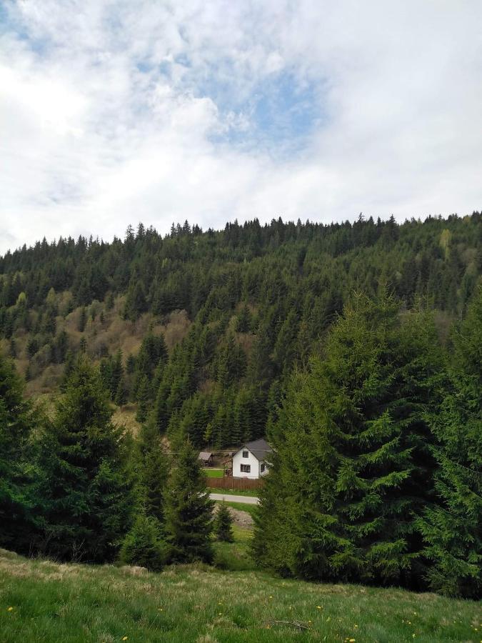 Csillag Kulcsoshaz Villa Gheorgheni  Luaran gambar