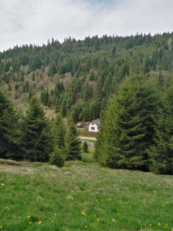 Csillag Kulcsoshaz Villa Gheorgheni  Luaran gambar