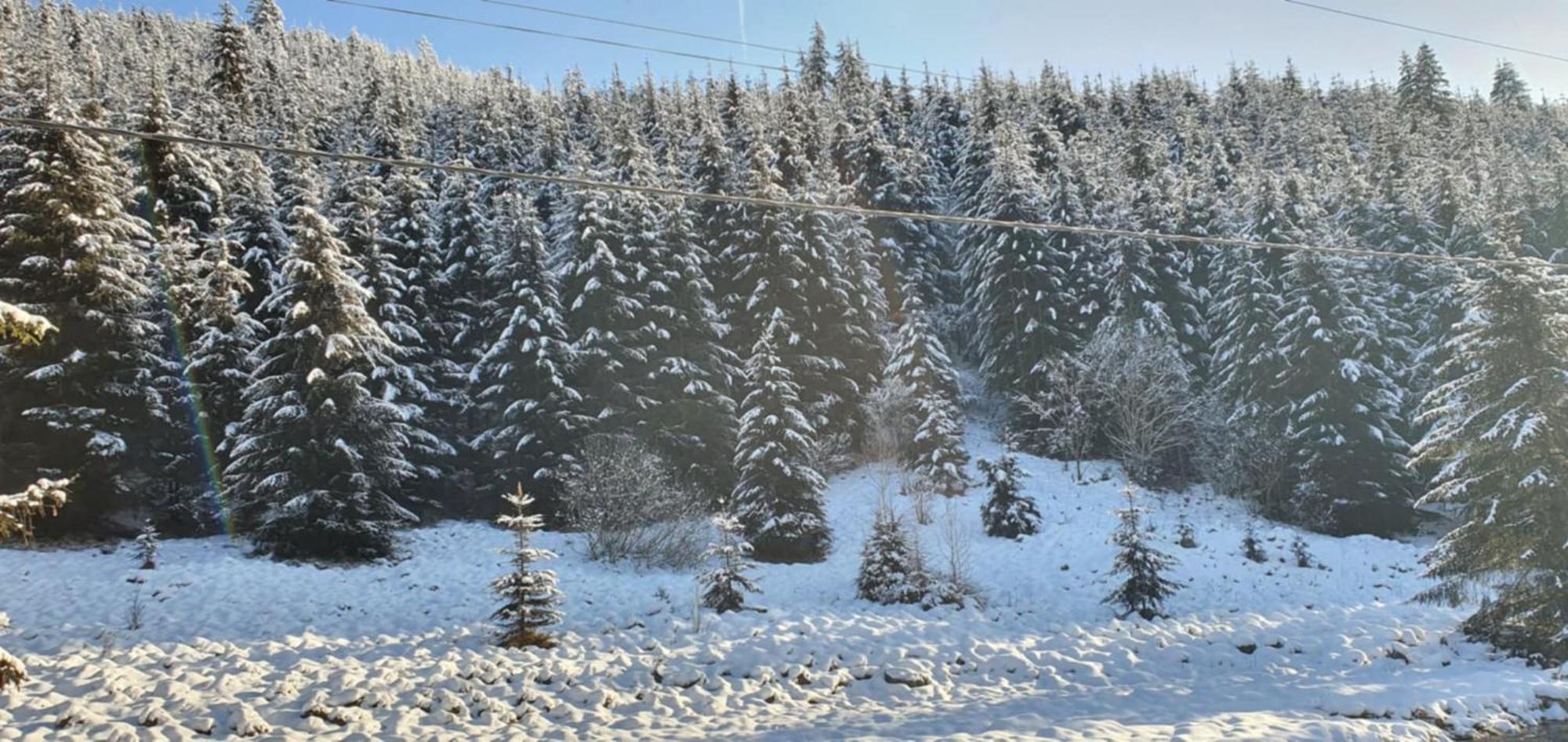 Csillag Kulcsoshaz Villa Gheorgheni  Luaran gambar