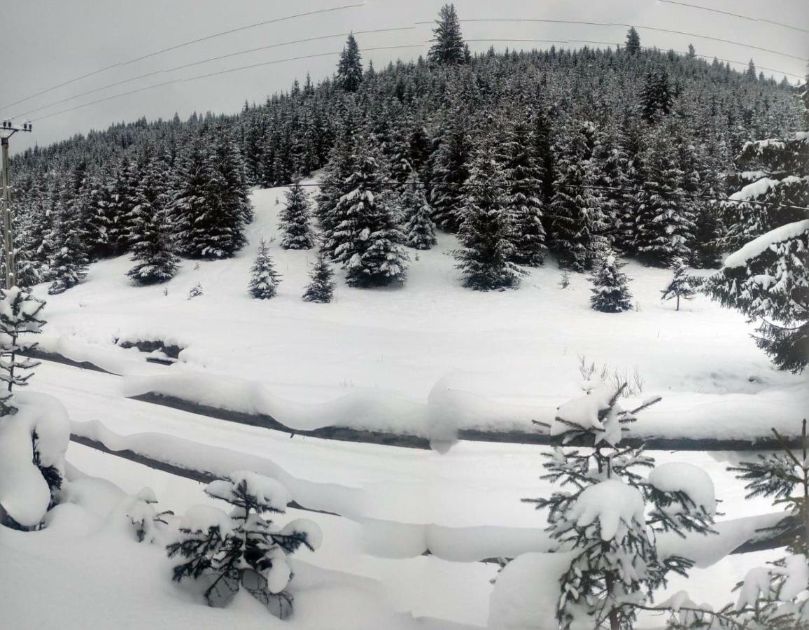 Csillag Kulcsoshaz Villa Gheorgheni  Luaran gambar